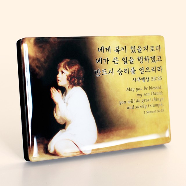 피드 이미지