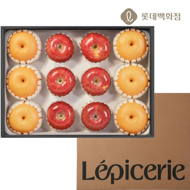 대향 이미지