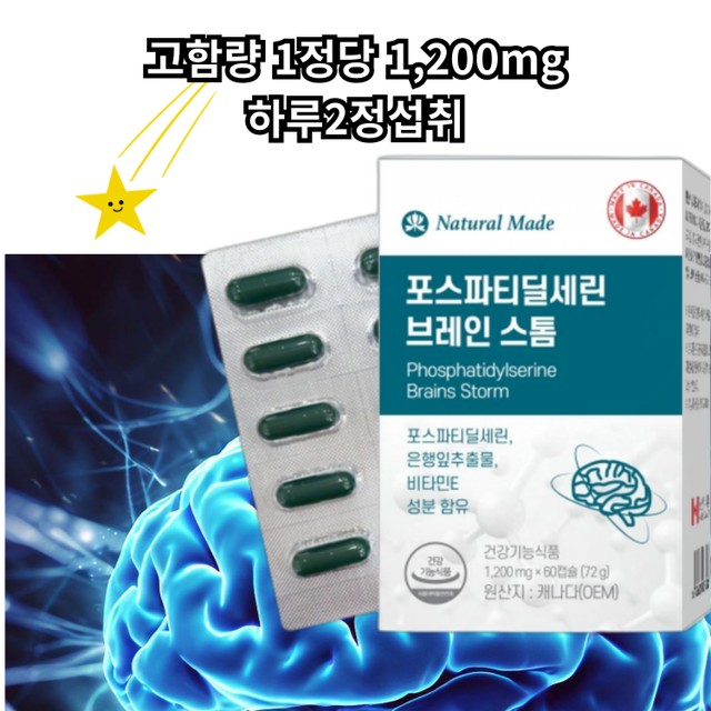 브레인스톰 이미지