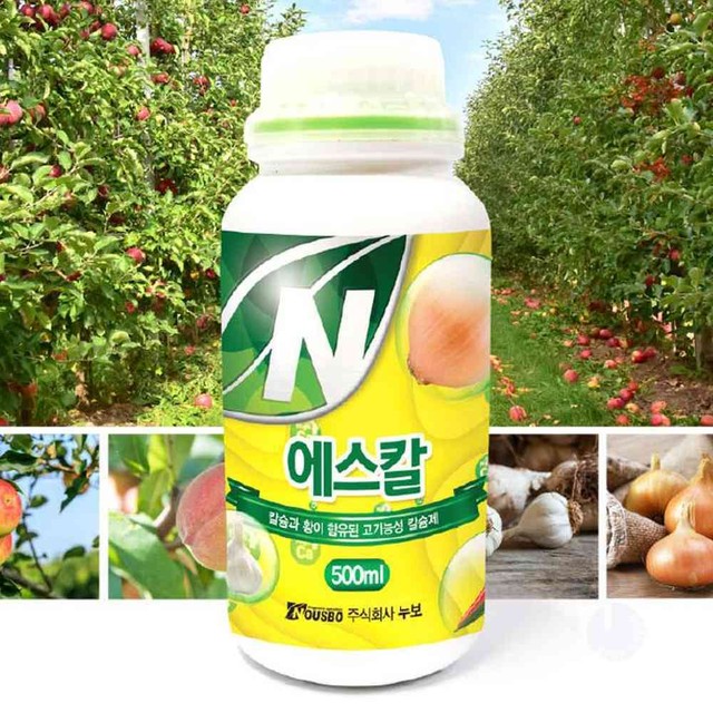 에스칼 이미지