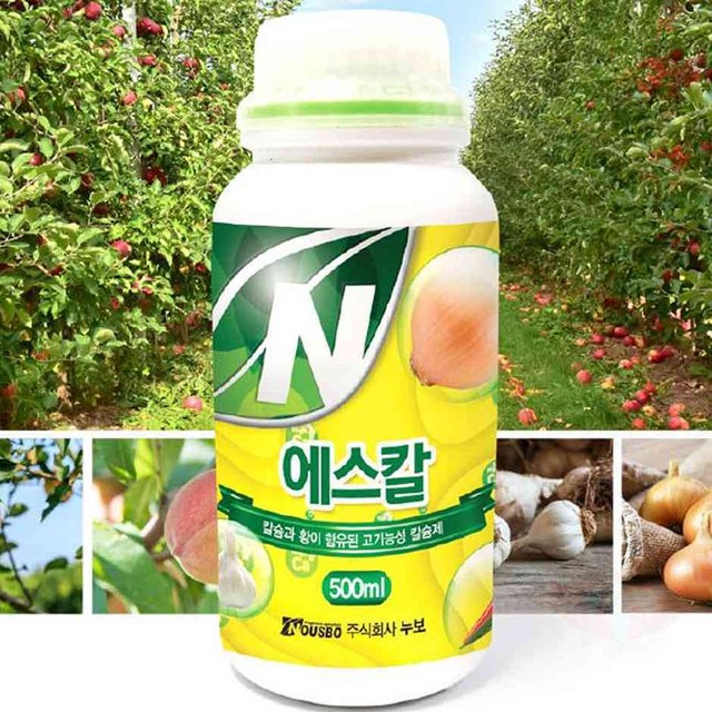 에스칼 이미지