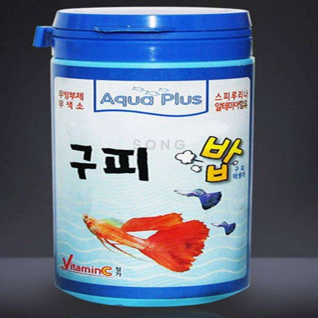 구피컴퍼니 이미지