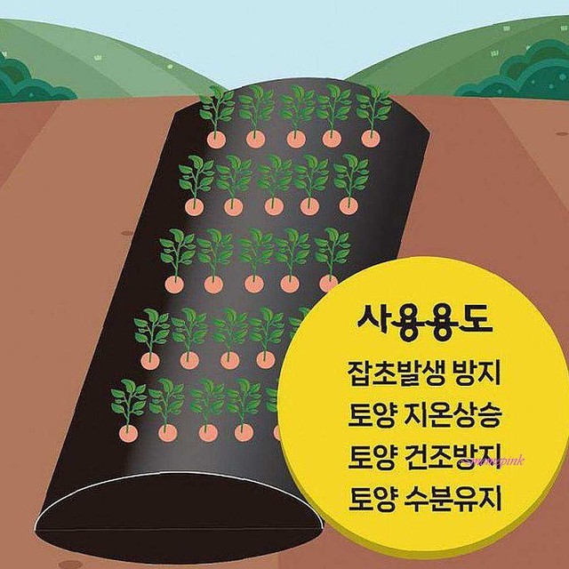 유공샵 이미지