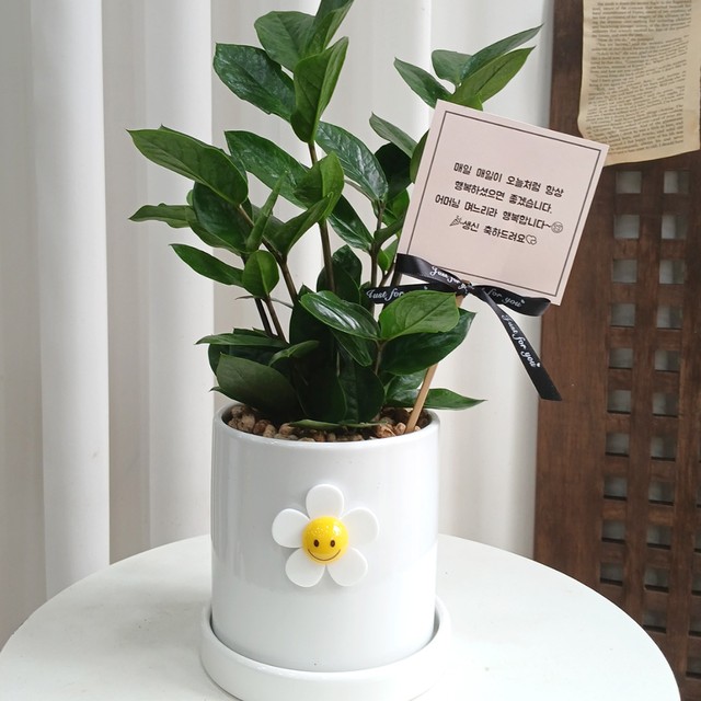 스마일화분 이미지