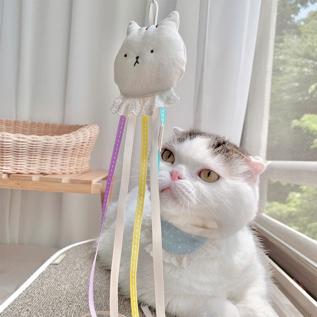 달당 이미지