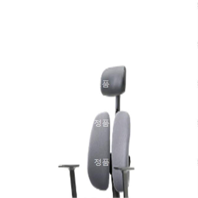 골드FS 이미지