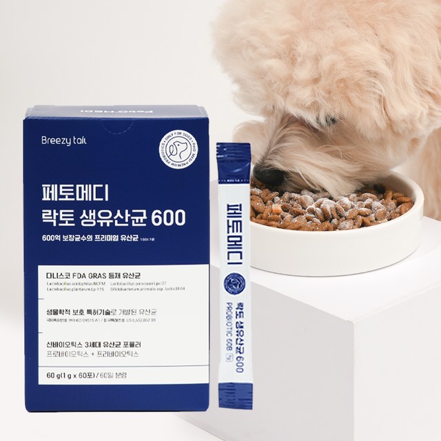 브리지 이미지