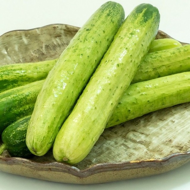 파 이미지