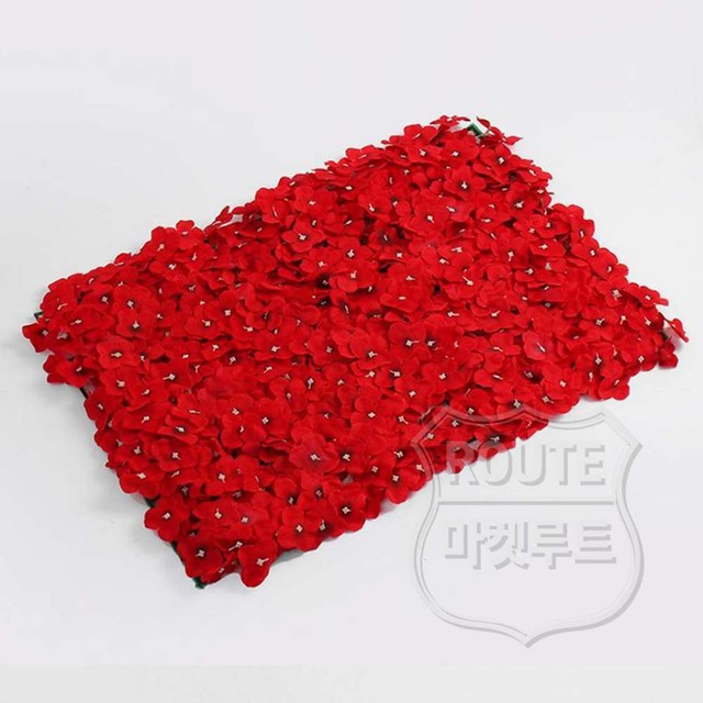 루트플라워 이미지