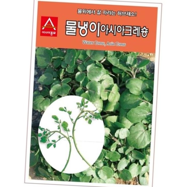 크레숑 이미지