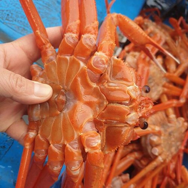오텀 이미지