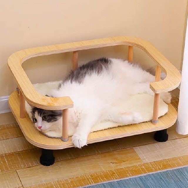 요기쏘 이미지
