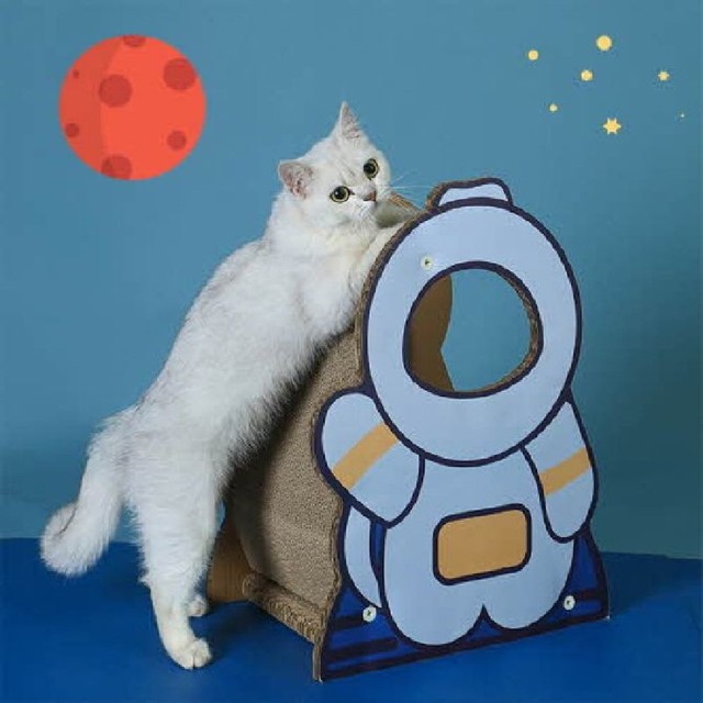 요기쏘 이미지