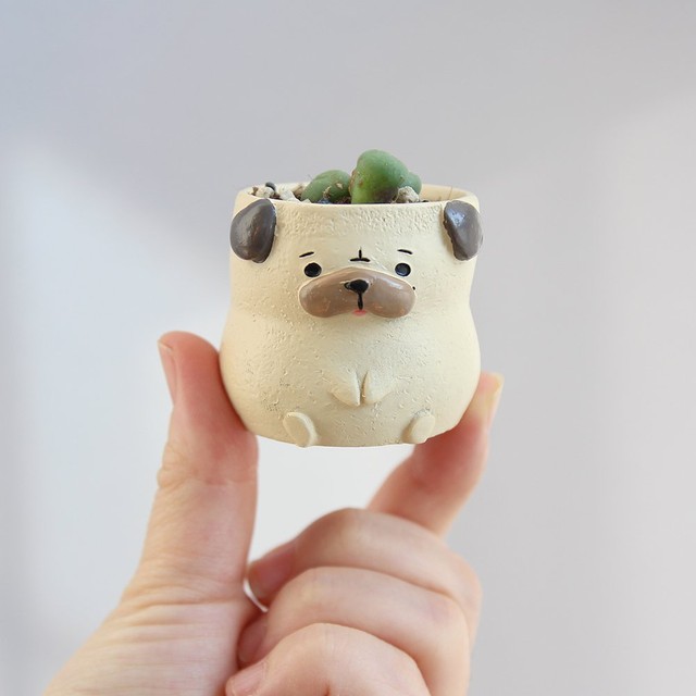 더봄 이미지