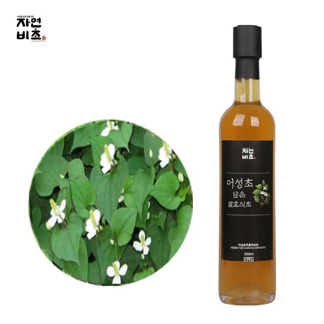 (주)들산초 이미지