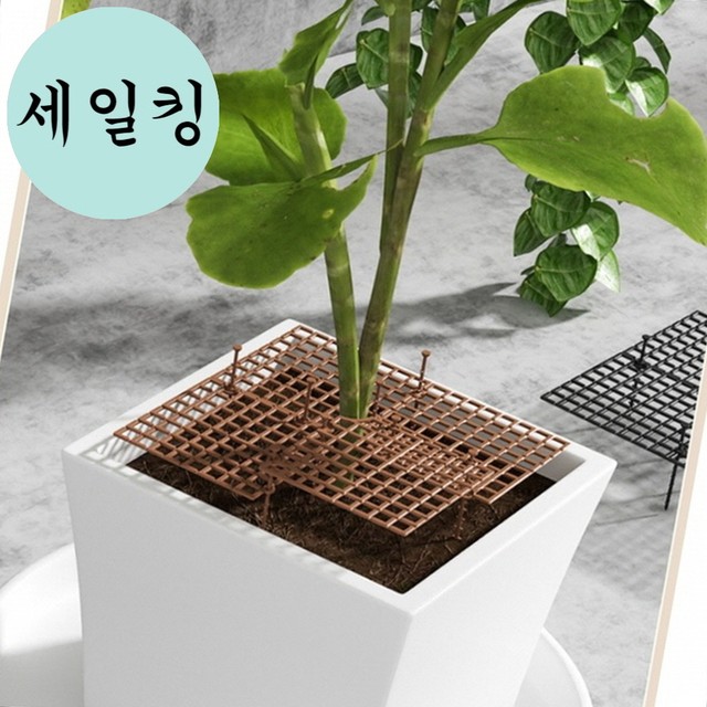 흙 이미지