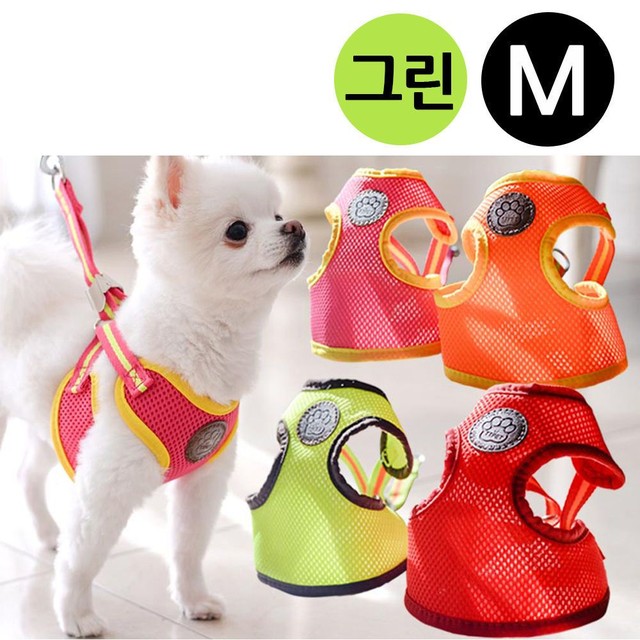 티티스마일 이미지