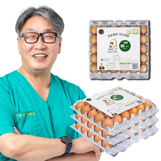 안스 이미지