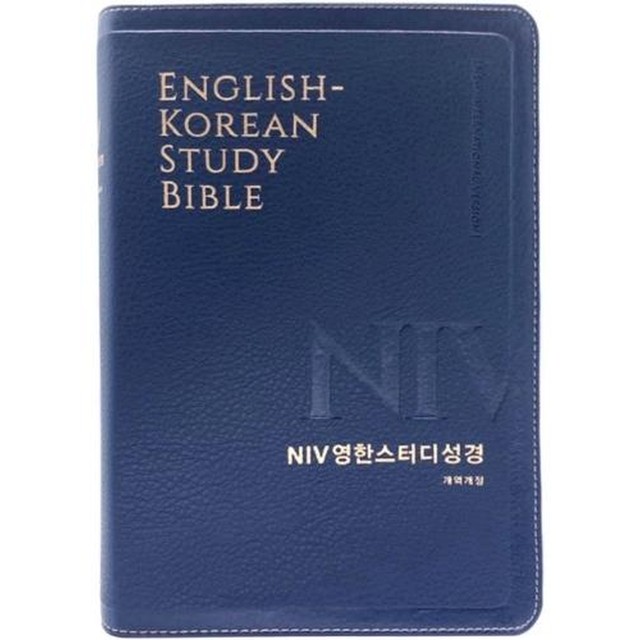 브라운 스터디 이미지