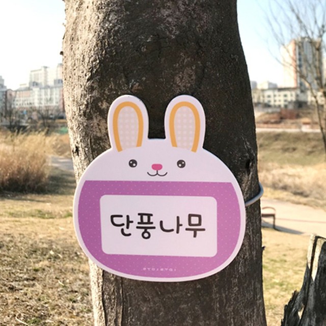 루미루다 이미지