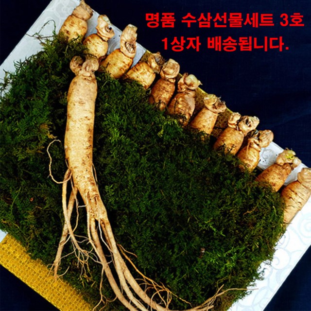 주)한국산삼공사 이미지