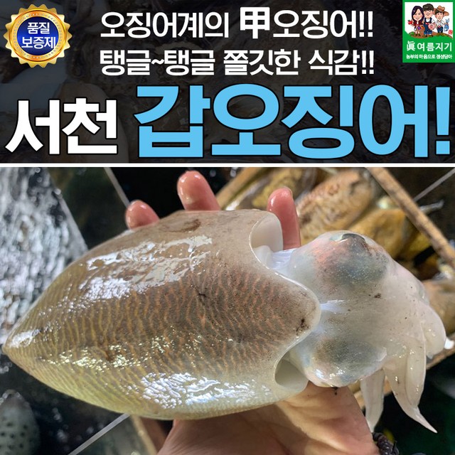에바다 이미지