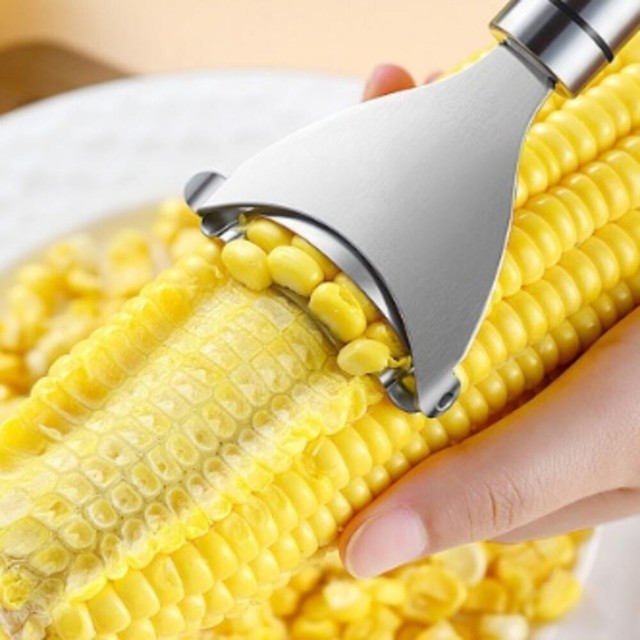 드림타임 이미지