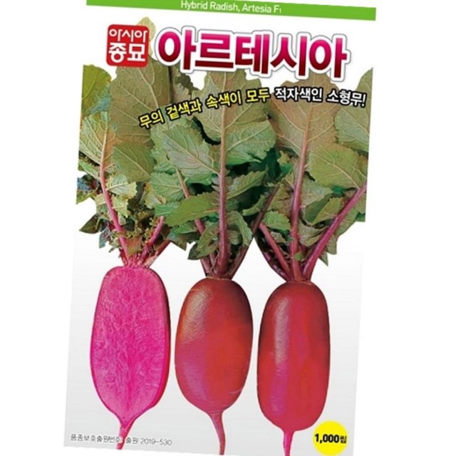 샐러립 이미지