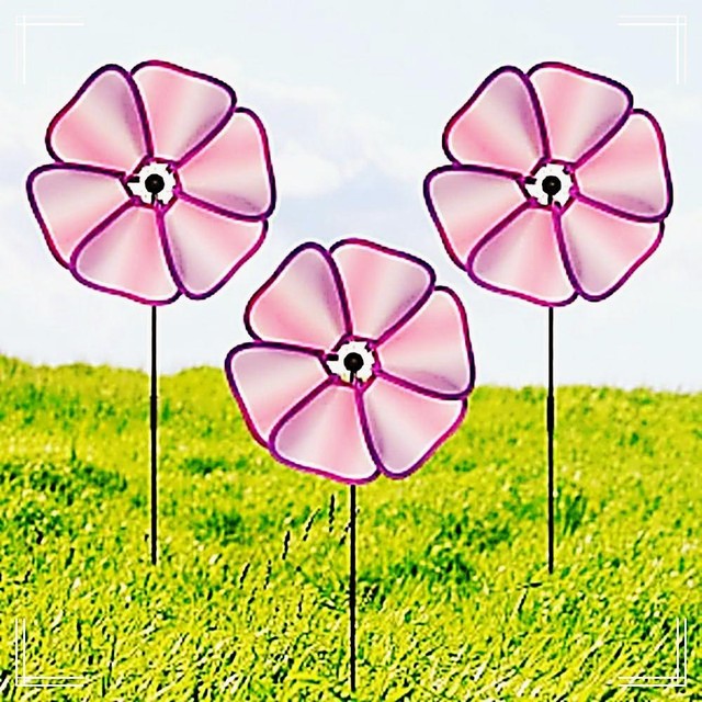 산들플라워 이미지
