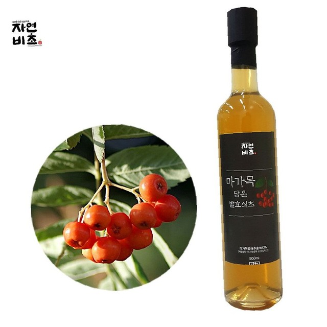 (주)들산초 이미지
