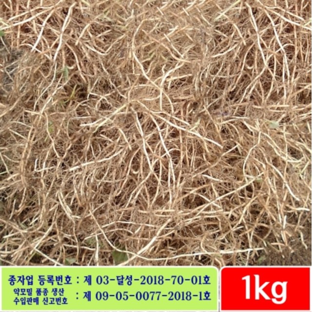 미산 이미지