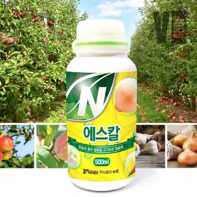 에스칼 이미지