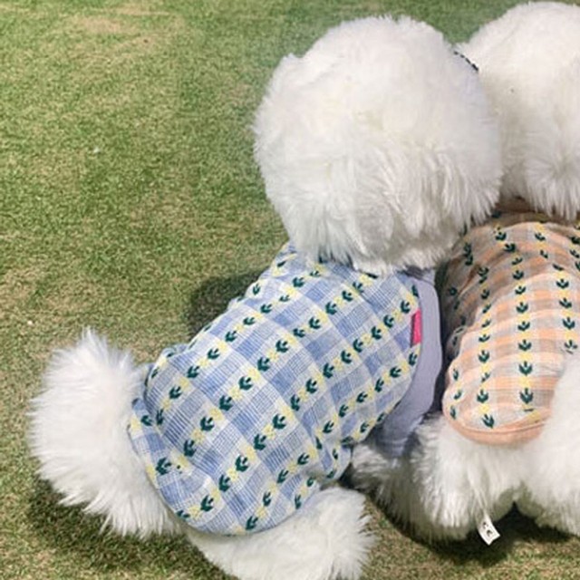 블링 이미지
