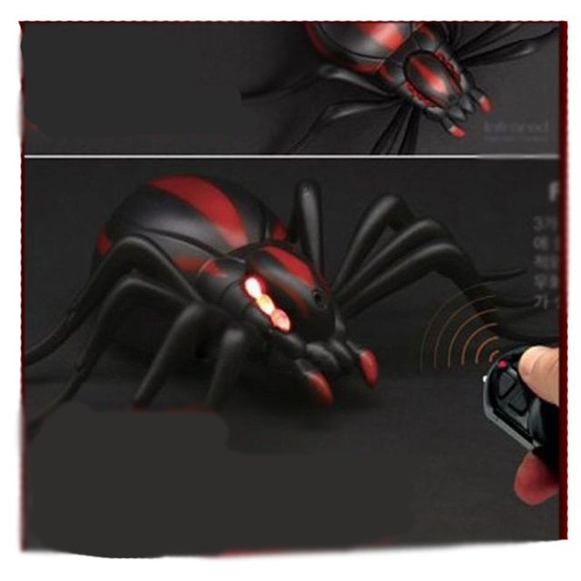 반디기타 이미지