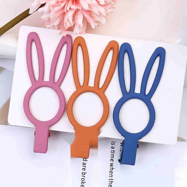 헤어레빗 이미지