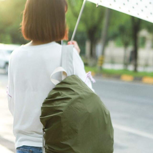 플라잉 피그 이미지