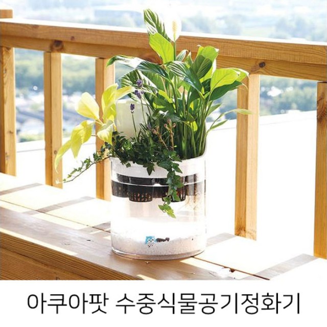 홈톡스닷컴 이미지