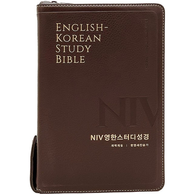 브라운 스터디 이미지