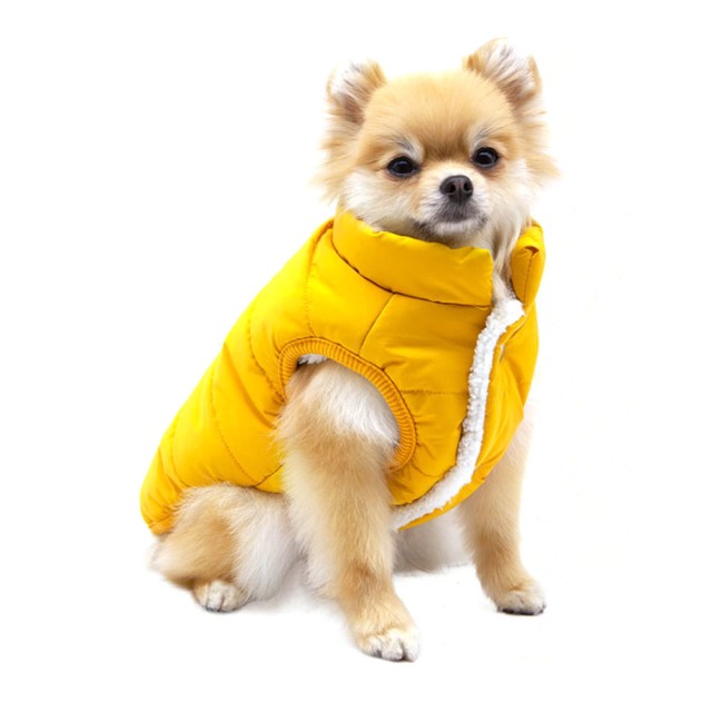 우프 이미지