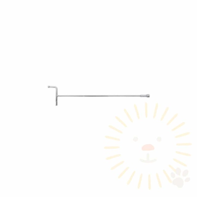 단디 이미지
