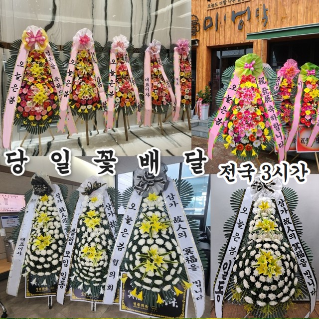 완주꽃배달써비스 이미지