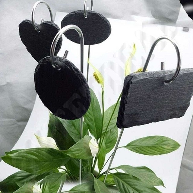 스톤라벨 이미지