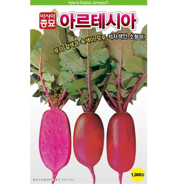 샐러립 이미지