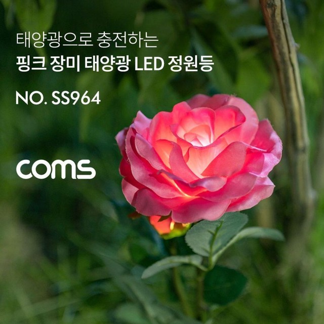 장미잡화 이미지
