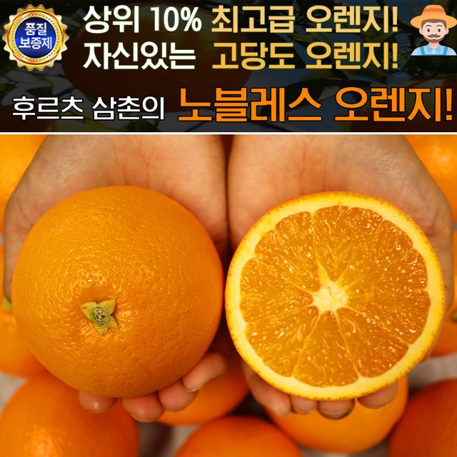 오렌지 이미지