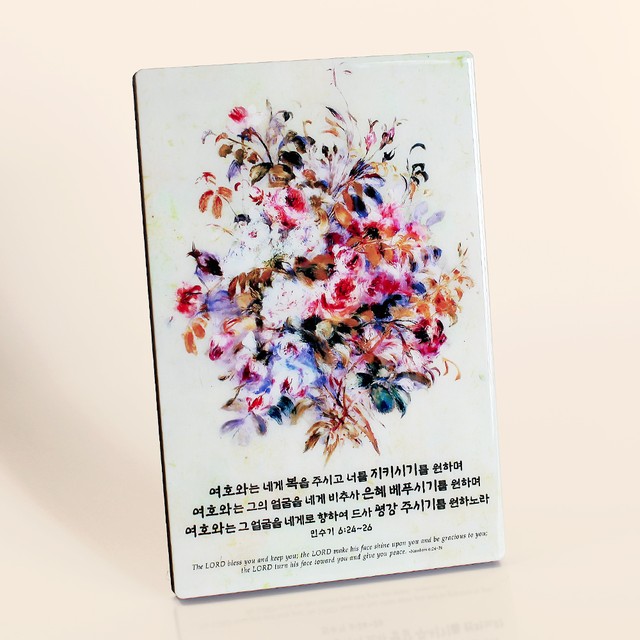 피드 이미지