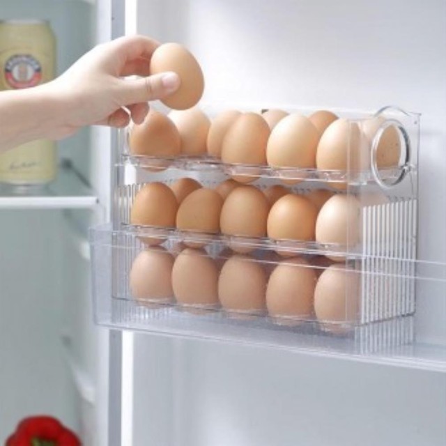 알 이미지
