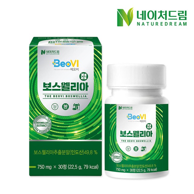 드림비 이미지