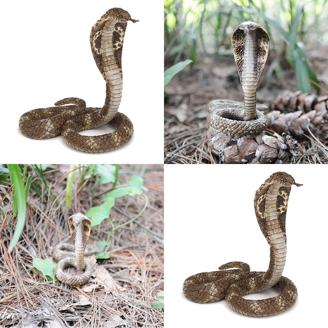 킹상사 이미지