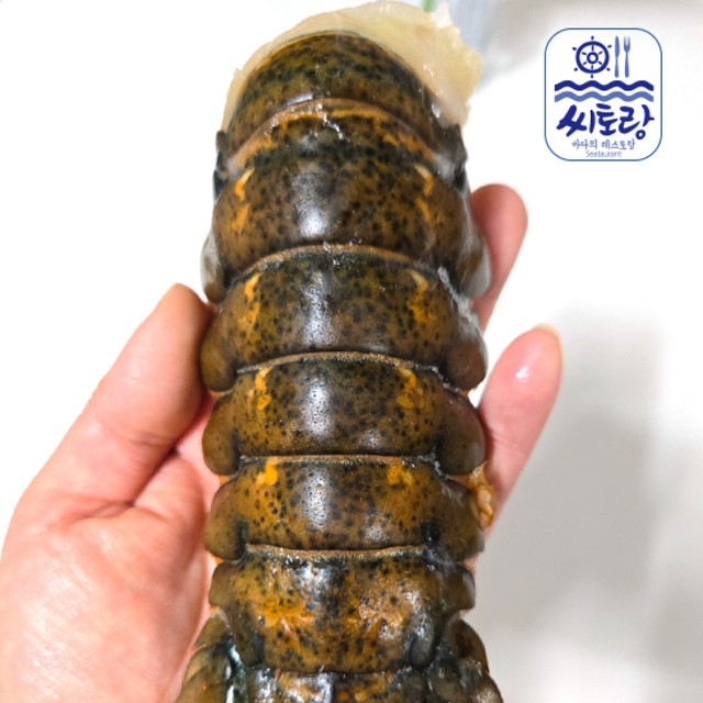 푸드테일 이미지